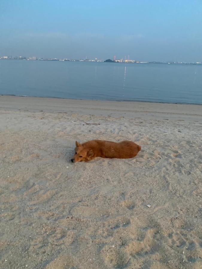 Sea View 2 Bedroom Fully Furnished Apartment Forest City Starview Bay Johor Malaysia Kampong Pok Kechil Εξωτερικό φωτογραφία